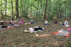 yoga-foret-23539